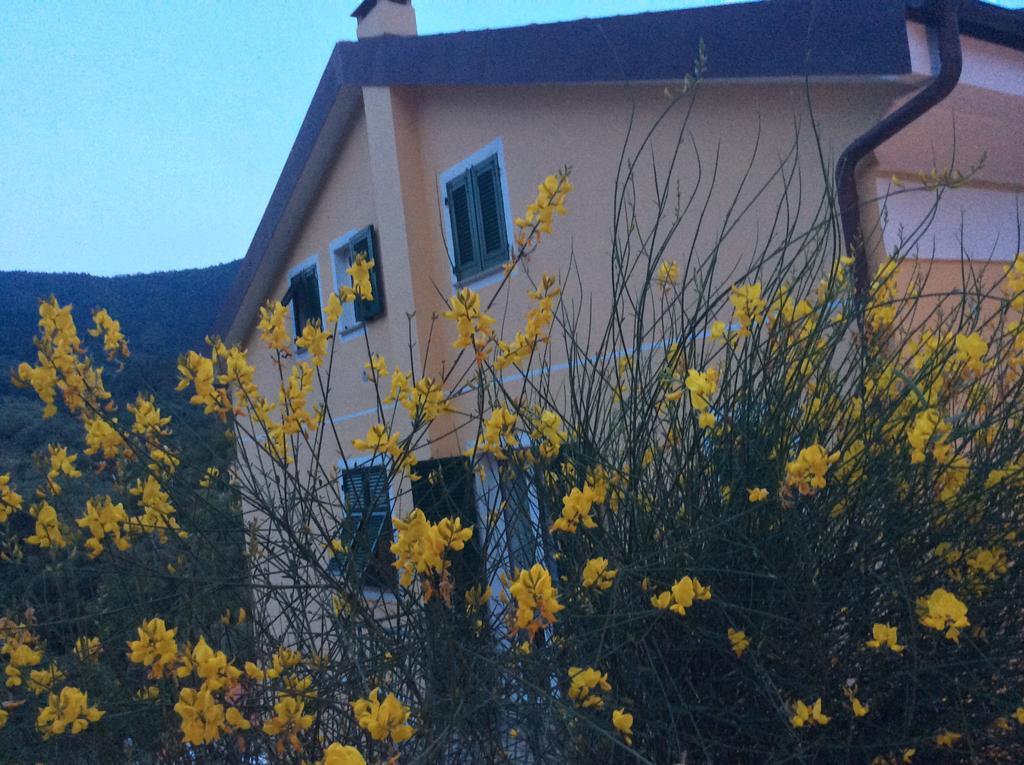 Ca Di Giaco Apartman Moneglia Kültér fotó